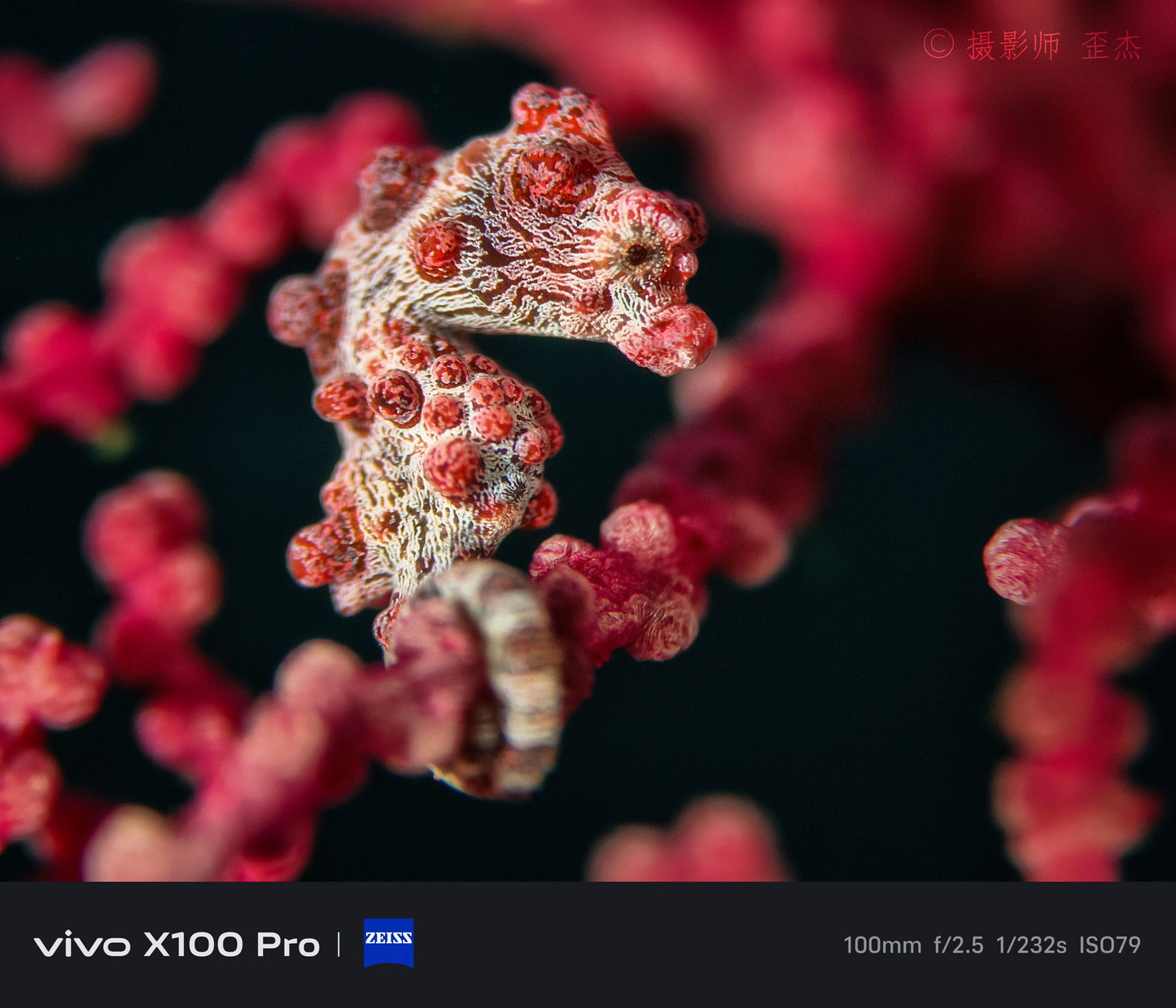 Divevolk SeaTouch 4 Max Underwater Smartphone Housing - Platinum