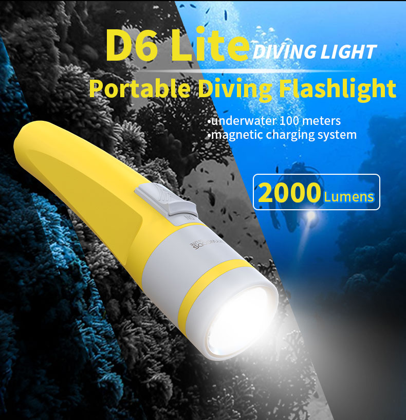 Skywoods D6 Lite 2000 Lumen Dive Torch