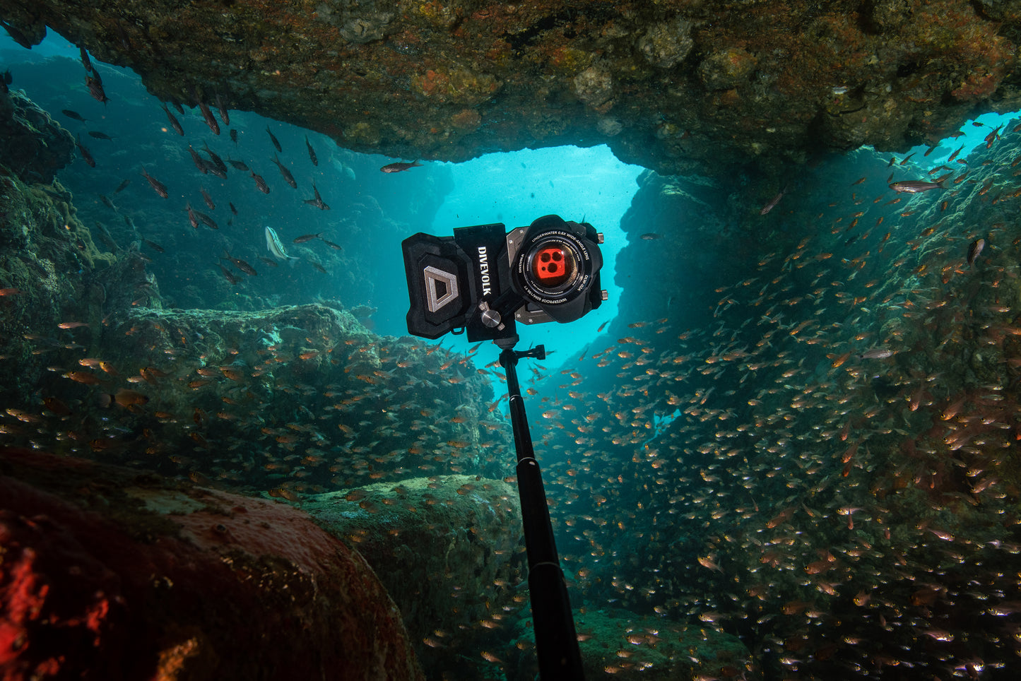 Divevolk Extended Pole Grip