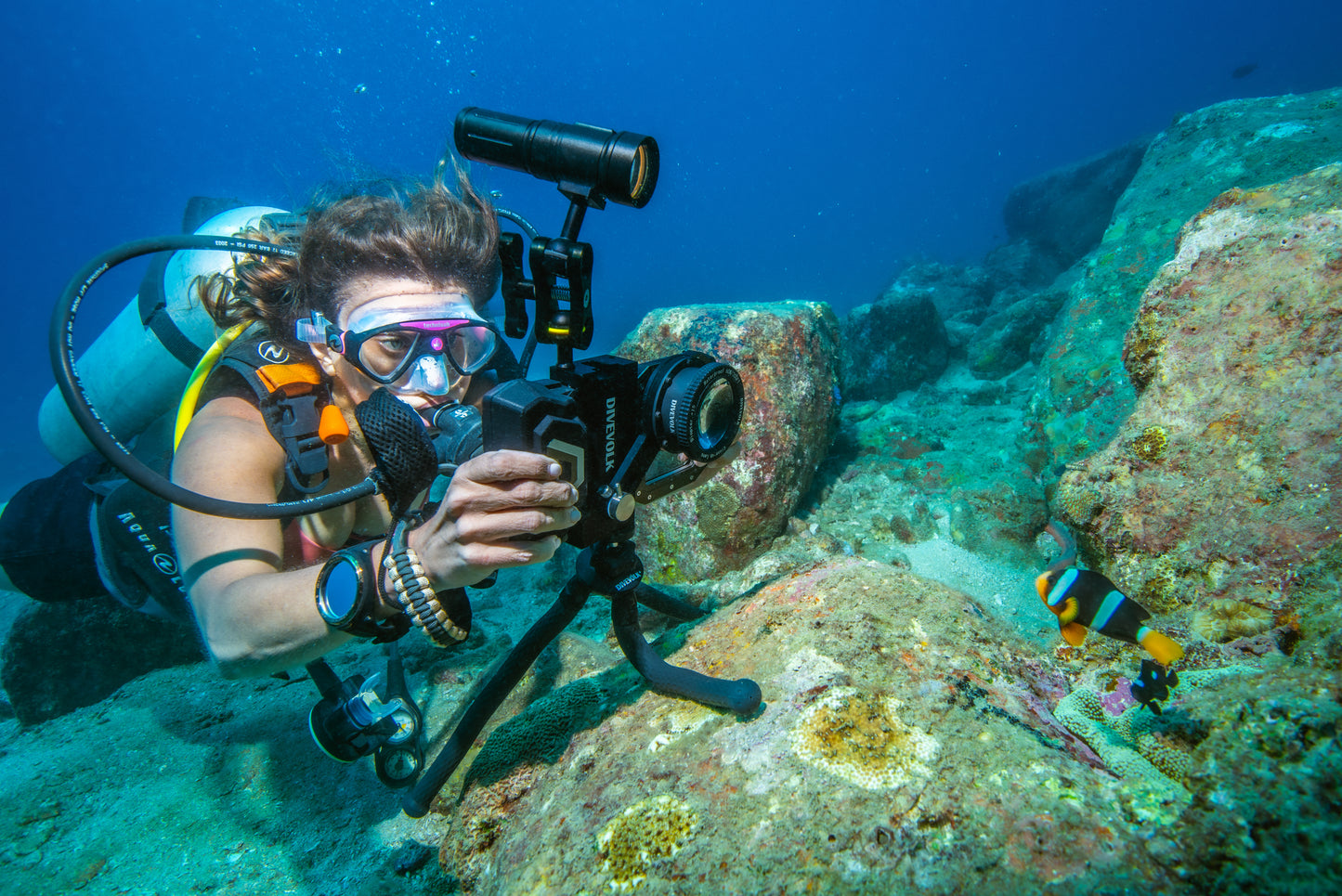 A scuba diver used a flexible tripod to steady the Divevolk Seatouch 4 max so that they can get a close-up shot of a clownfish underwater