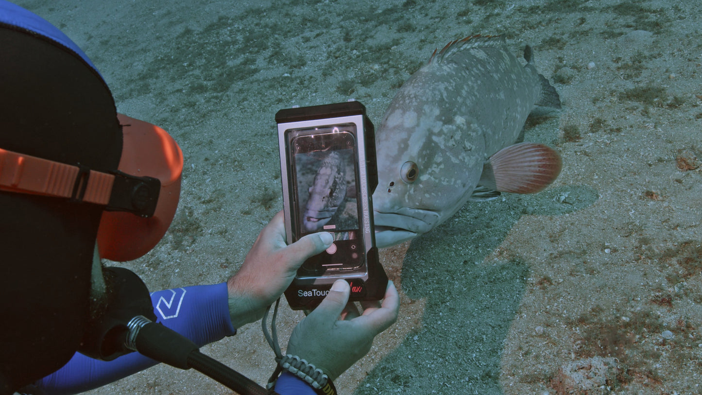 Divevolk SeaTouch 4 Max Plus Pink Underwater Touchscreen Phone Housing