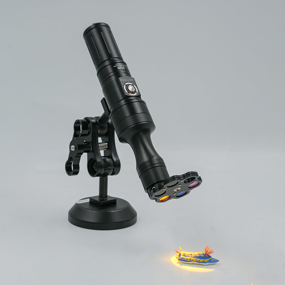 SL20 Video Light with Snoot and Colour Wheel installed shining onto Nudibranch model