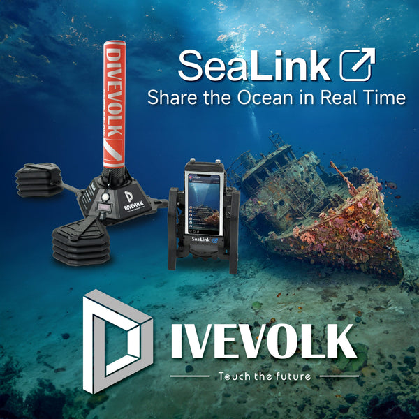 Deep Dive Live at the National Marine Aquarium with SeaLink Transmitter