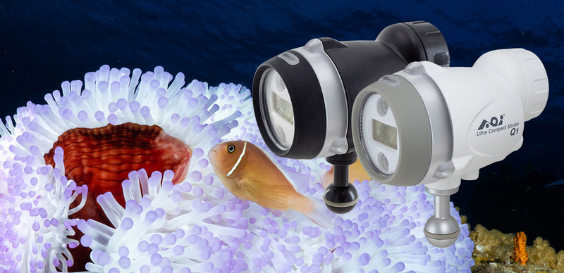 Underwater Strobe Lights