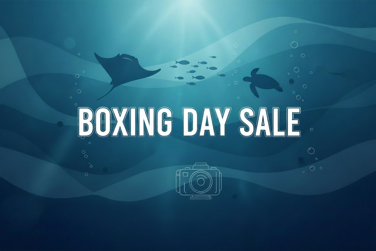 Boxing Day Sale