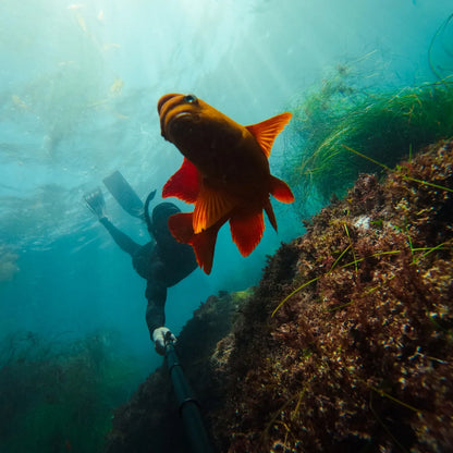 GoPro 1.2m Extension Pole & Waterproof Shutter Remote | Extending Pole & Bluetooth Remote