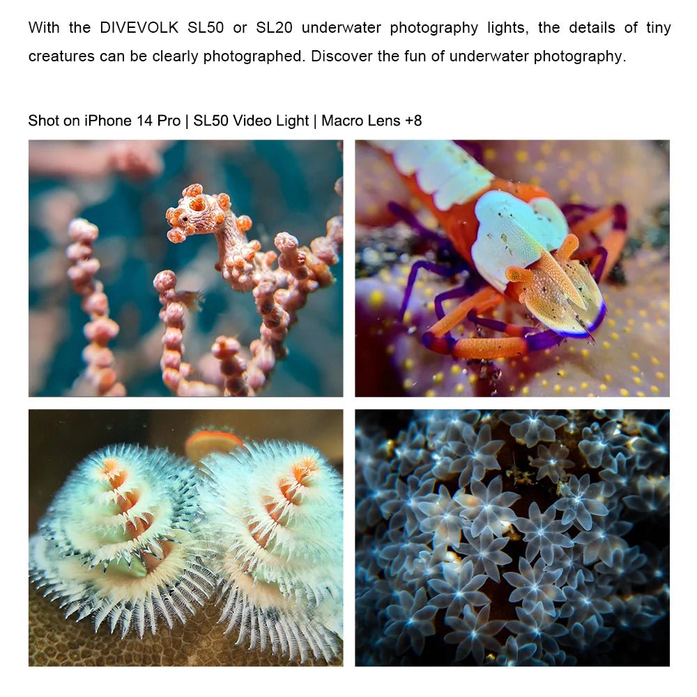 Divevolk Close - Up +8 Diopter Macro Wet Lens
