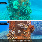 Divevolk SeaTouch 4 Max Plus Filters Kit Smartphone Dive Housing