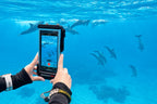 Divevolk SeaTouch 6 Pro Underwater Smartphone Housing
