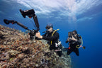 Divevolk SeaTouch 6 Pro Underwater Smartphone Housing
