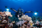 Divevolk SeaTouch 6 Pro Underwater Smartphone Housing