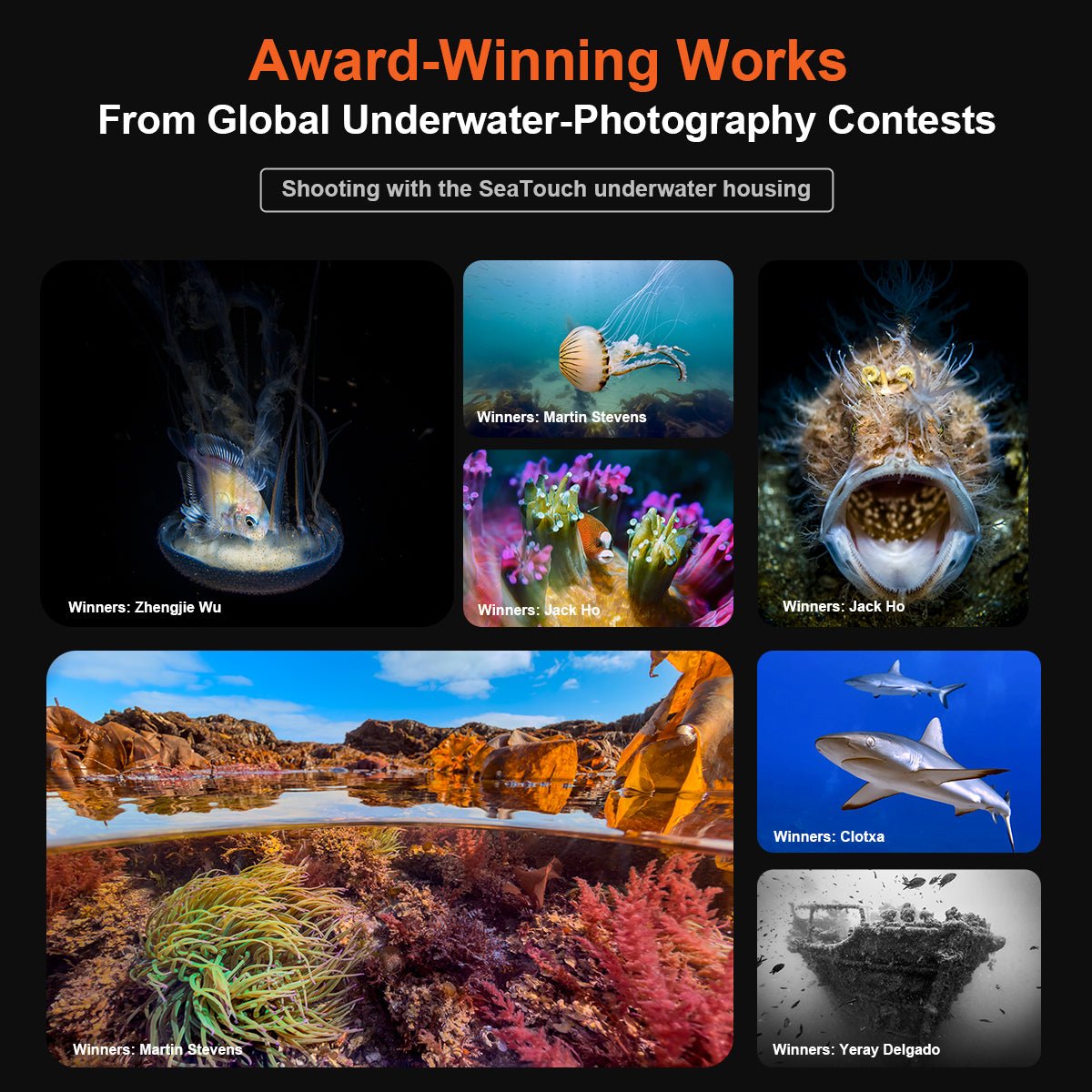 Divevolk SeaTouch 6 Pro Underwater Smartphone Housing