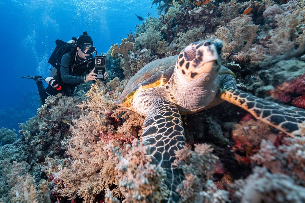 Divevolk SeaTouch 6 Pro Underwater Smartphone Housing