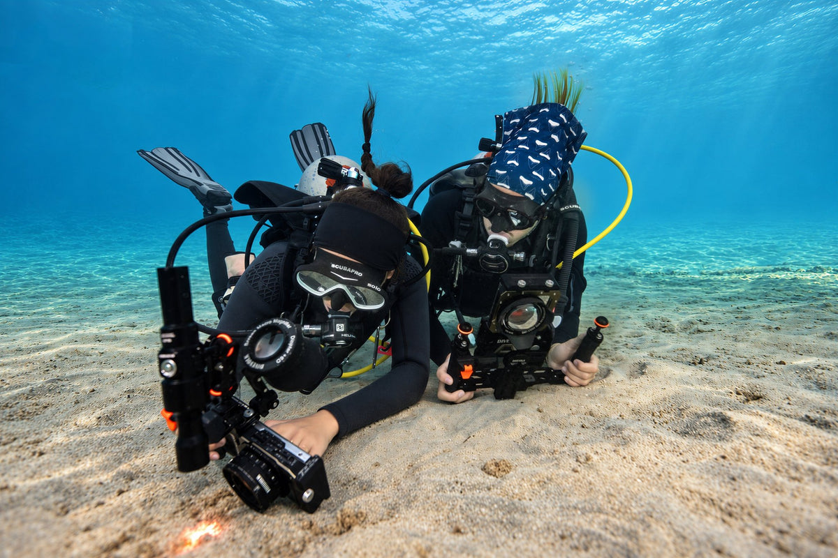 Divevolk SeaTouch 6 Pro Underwater Smartphone Housing