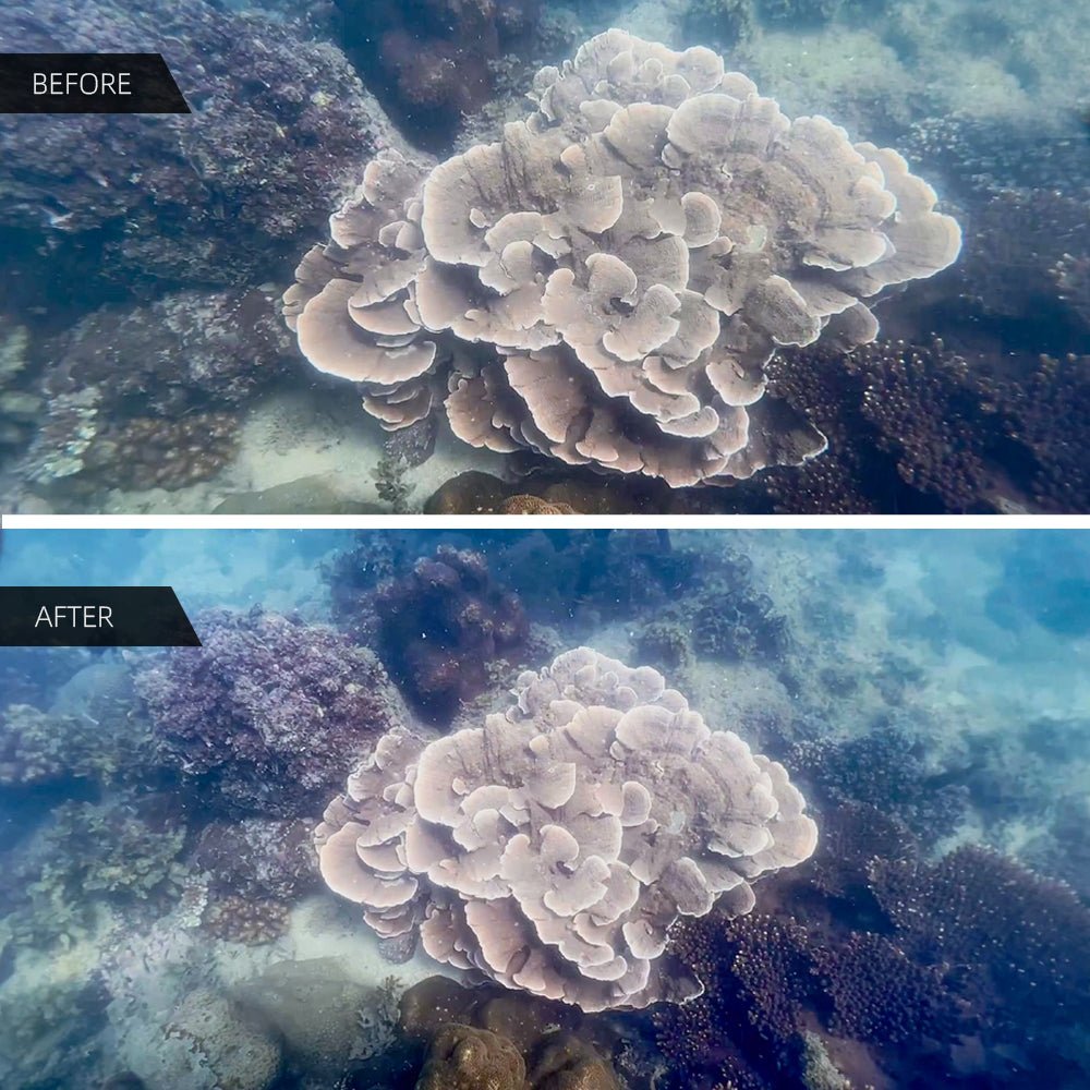 Divevolk Underwater Wide - Angle Conversion Lens