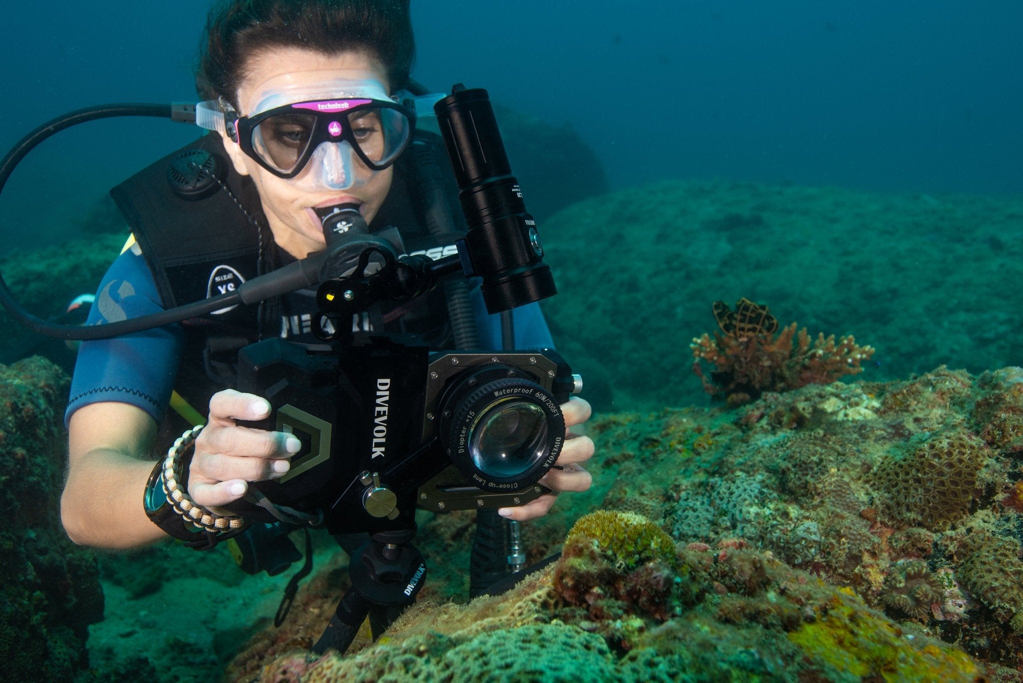 The Divevolk Seatouch 4 max Close up kit and SeaLight SL20 are a great choice for SCUBA divers interested in small subjects.