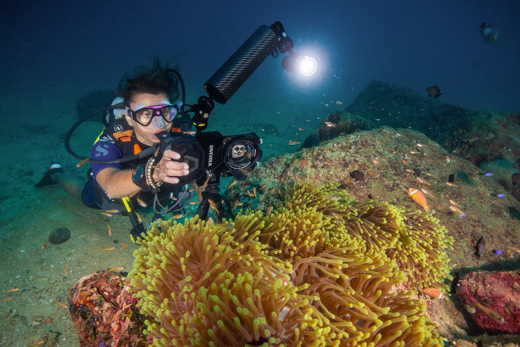 The Divevolk Seatouch 4 Max Almighty Kit lets you light up your images underwater