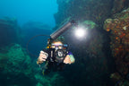 The Divevolk Seatouch 4 Max Almighty Kit Underwater Phone Housing and Video Light a great choice for SCUBA Divers