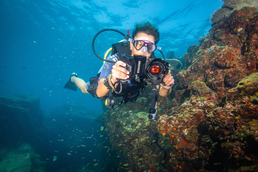 The Divevolk Seatouch 4 Max Ocean Kit has everything you need to shoot wide - angle video and photos in ambient light with your smartphone underwater whilst SCUBA Diving