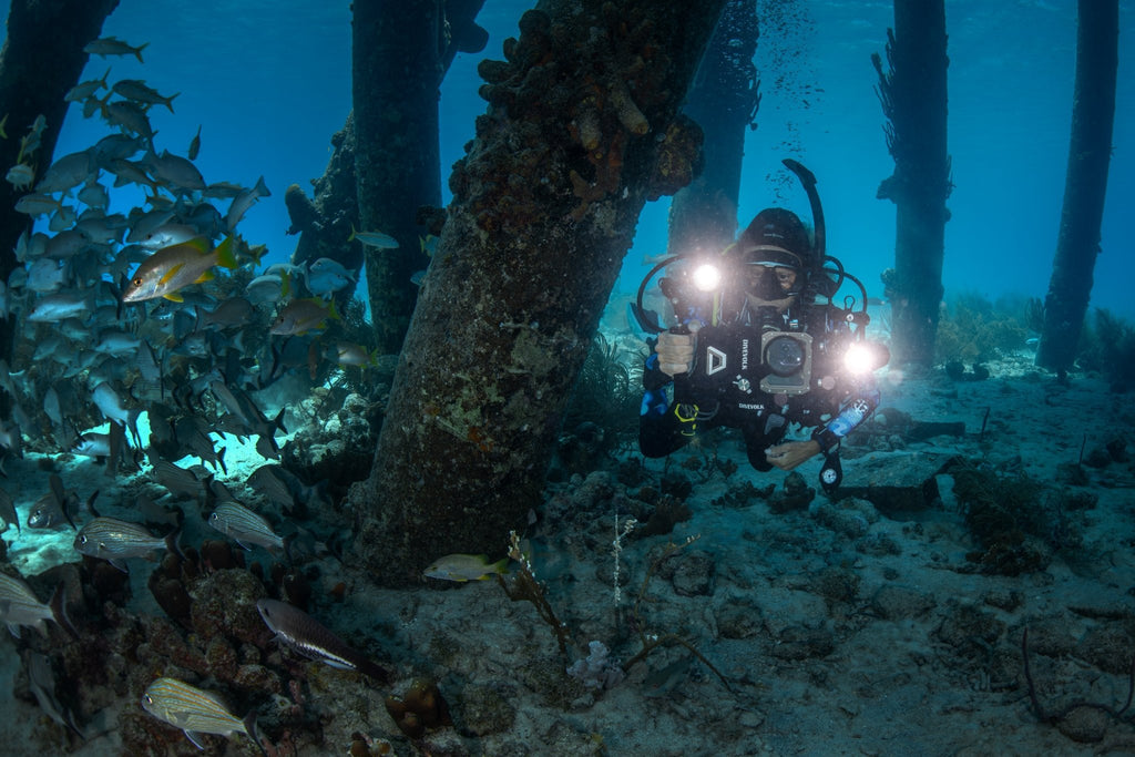 The SeaTouch 4 Max Deep Dive Kit includes 2 5000 Lumen Sealights.