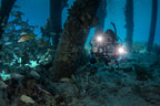 The SeaTouch 4 Max Deep Dive Kit includes 2 5000 Lumen Sealights.