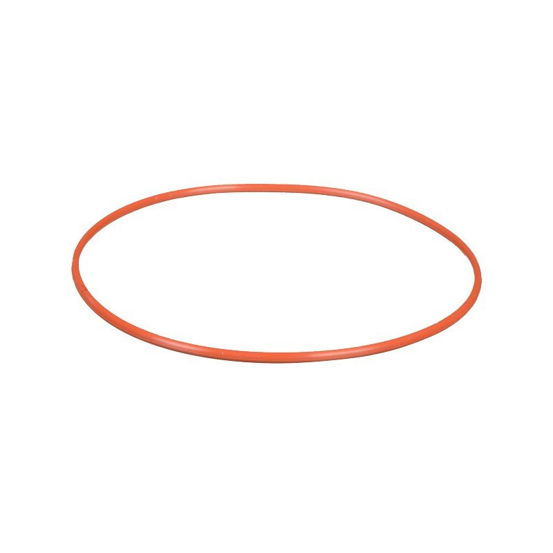 OLYMPUS POL - 058 O - Ring for PT - 058/059