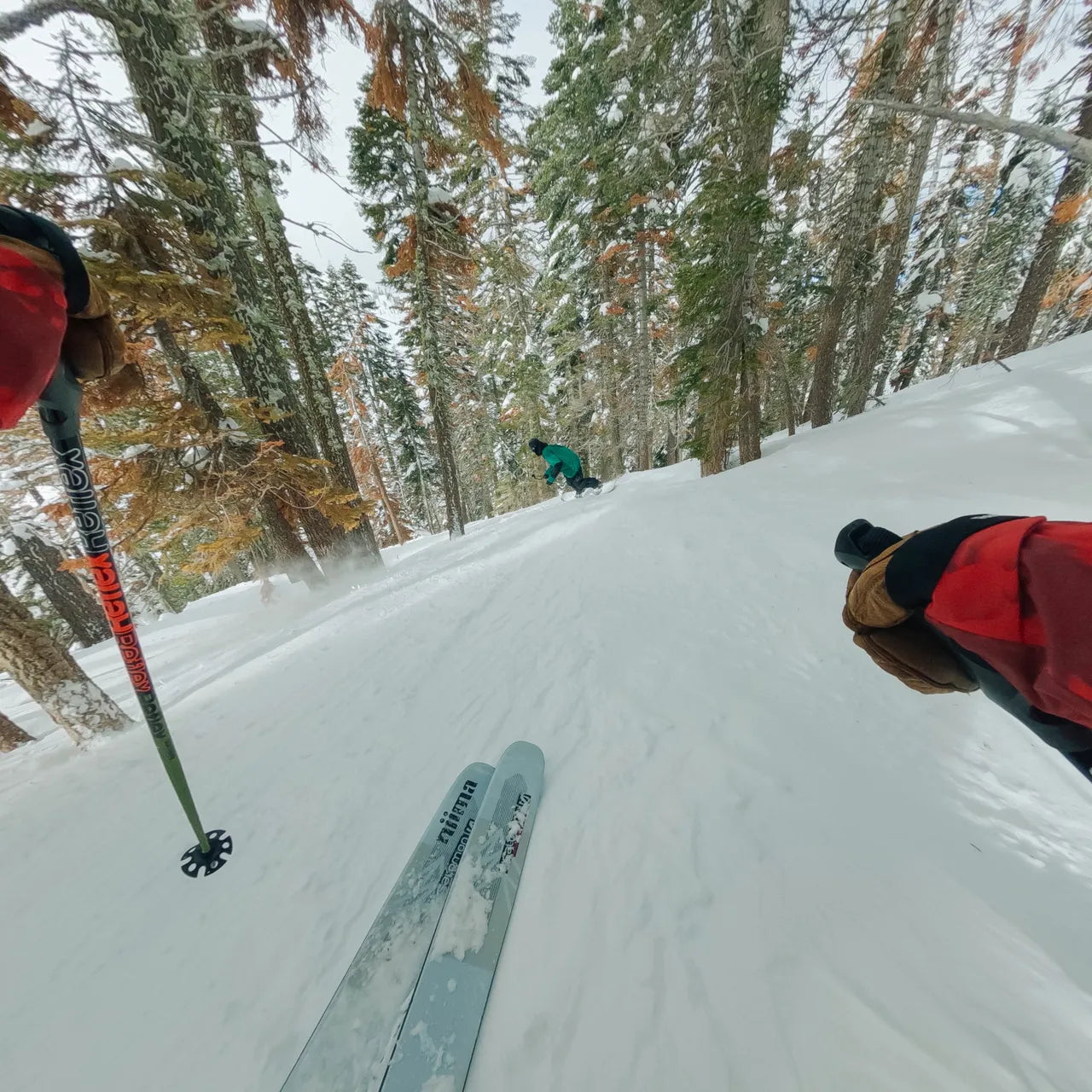 GoPro Chesty | Performance Chest Mount