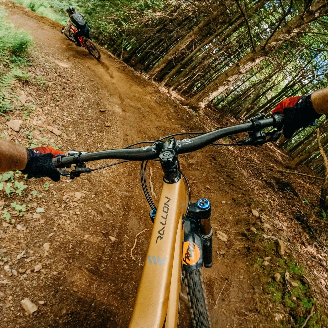 GoPro Chesty | Performance Chest Mount