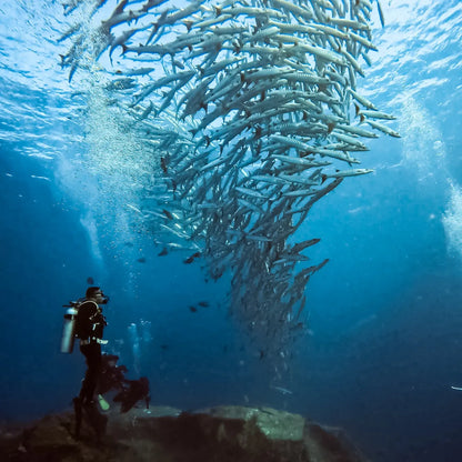 GoPro Protective Housing | Waterproof Dive & Camera Protection | SCUBA Diving Case