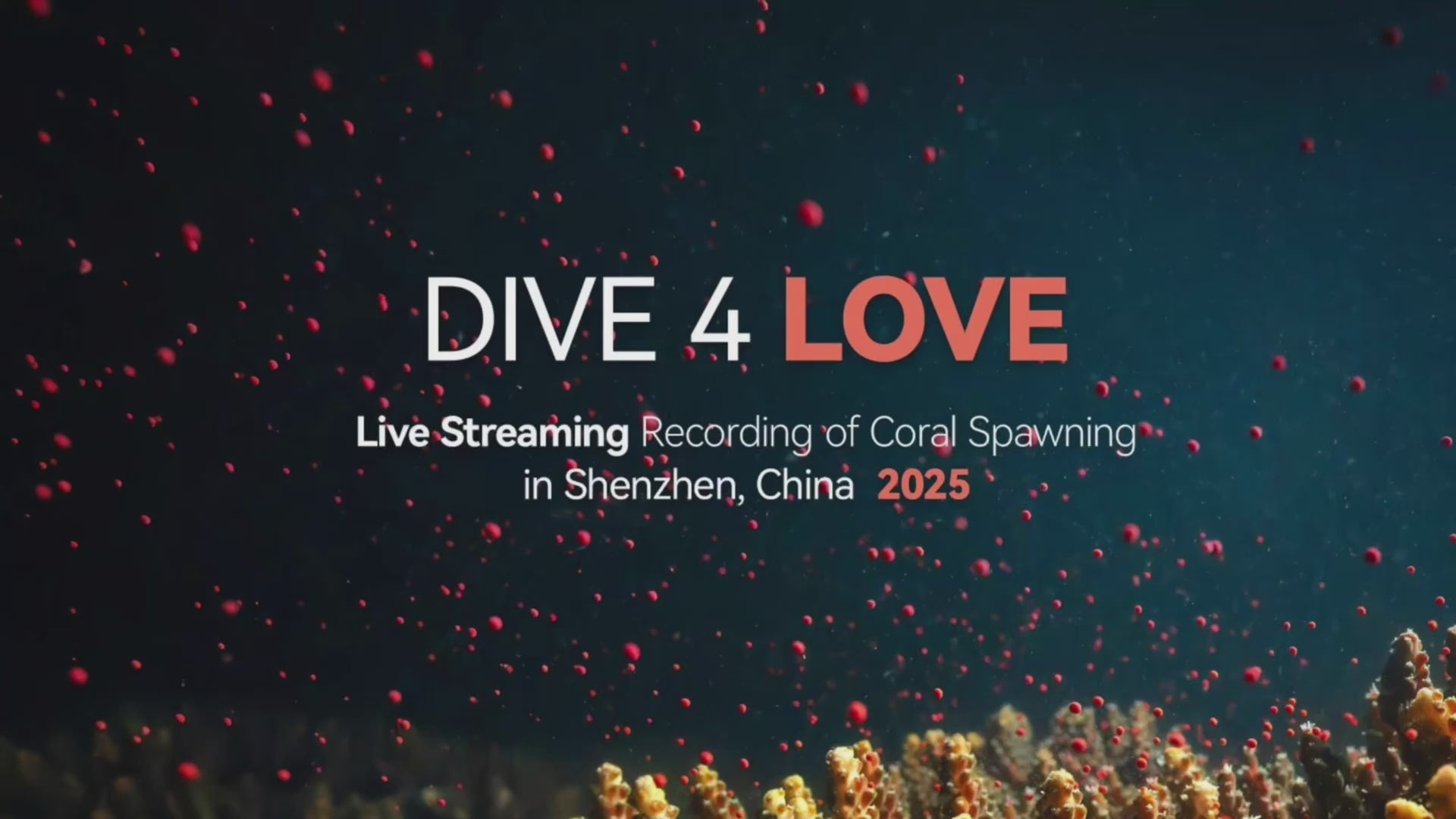 Load video: Divevolk SeaLink Underwater Smartphone Data Transmitter