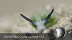 Divevolk SeaTouch 4 Max Plus Underwater Housing Macro Kit or iPhone & Android