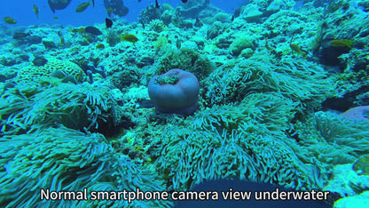 Divevolk SeaTouch 4 MAX PLUS Underwater Housing Ocean Kits