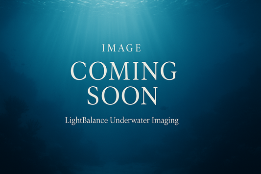 revert to previous background and add "LightBalance Underwater Imaging" in small text underneath main text