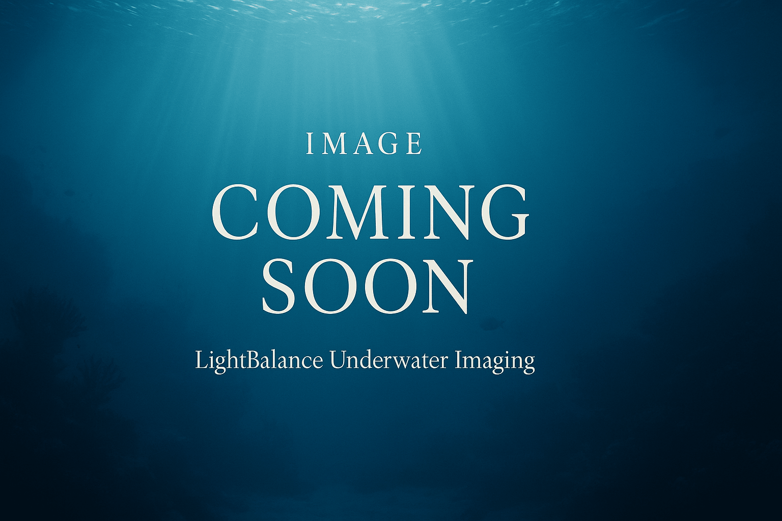 Image Coming Soon. Lightbalance Underwater Imaging